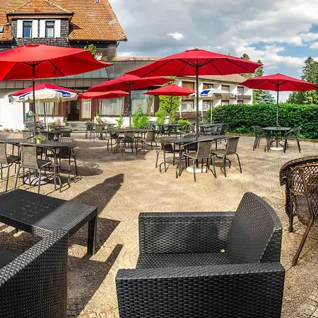 Hirsch Freudenstadt